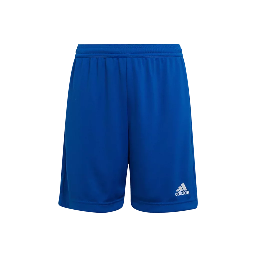 Short adidas bleu